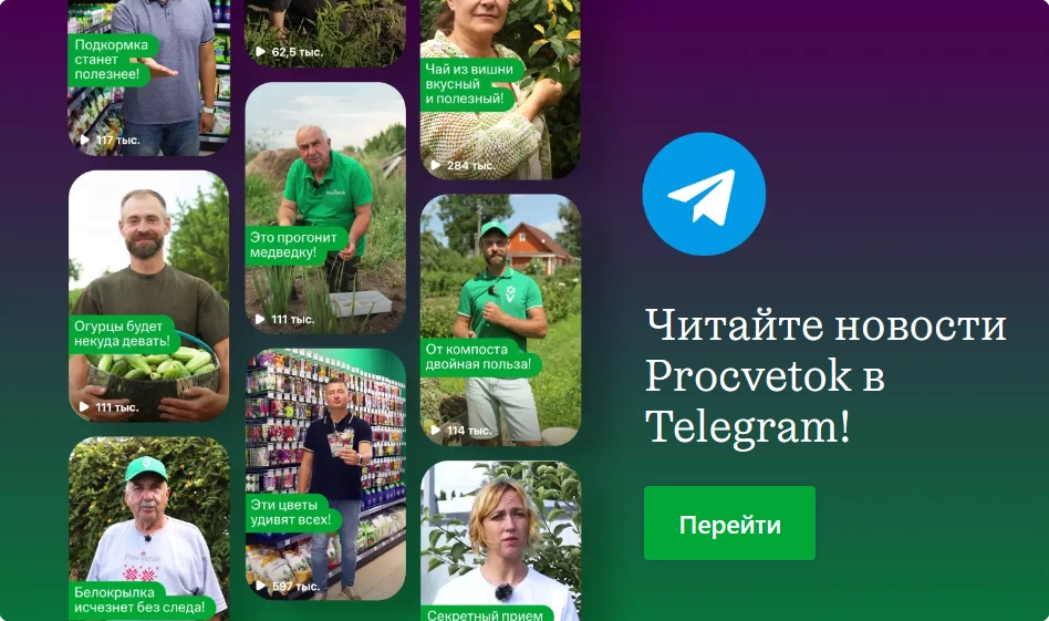 Телеграмм